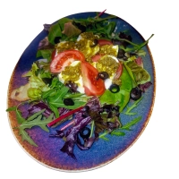 Verse mozzarella, tomaten, pesto en olijfolie